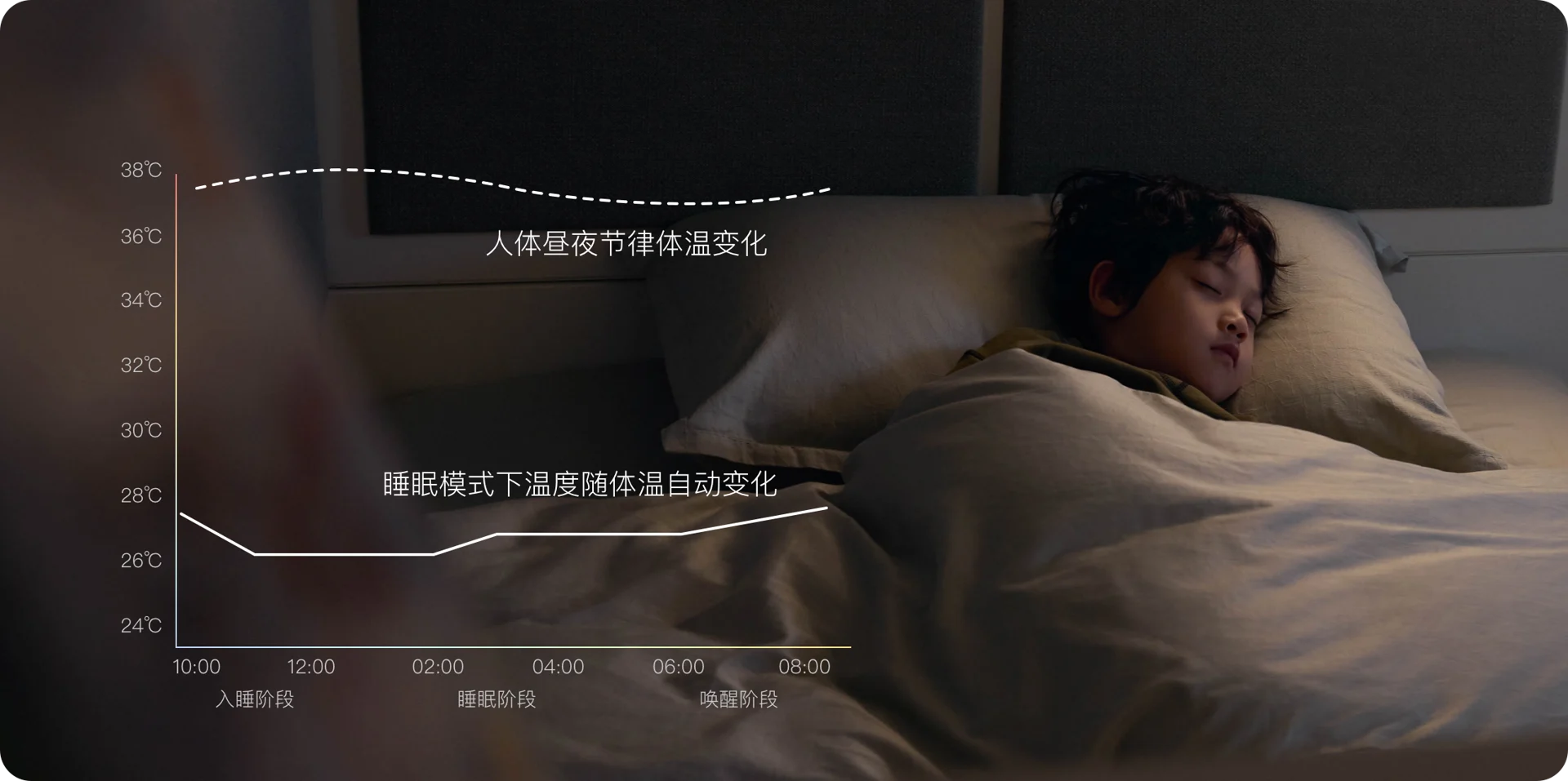健康底盘展示图